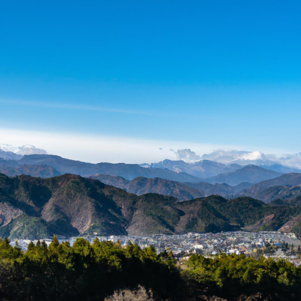 稲城市での営業職の魅力とは？